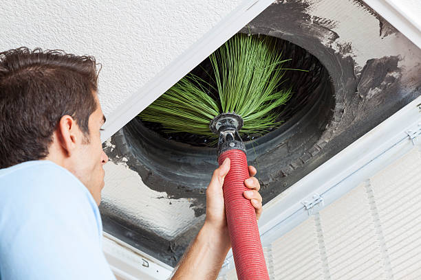 Air Duct Mold Removal in Madison, MN